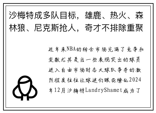 沙梅特成多队目标，雄鹿、热火、森林狼、尼克斯抢人，奇才不排除重聚